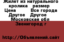 Жилет из натурального кролика,44размер › Цена ­ 500 - Все города Другое » Другое   . Московская обл.,Звенигород г.